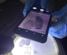 PCPR realiza perícia papiloscópica em local de crime em Matinhos