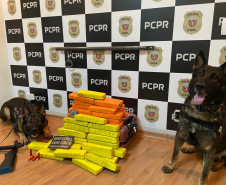 PCPR prende indivíduos e apreende droga e arma em Mandaguari 