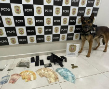 PCPR prende em flagrante homem por tráfico de drogas e posse de arma de fogo em Chopinzinho 