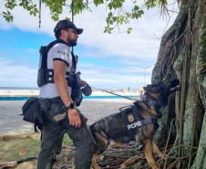 PCPR realiza fiscalização com auxílio de cães policiais no Litoral 