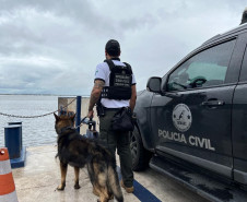 PCPR realiza fiscalização com auxílio de cães policiais no Litoral 
