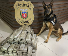 Cão policial ao lado de droga apreendida