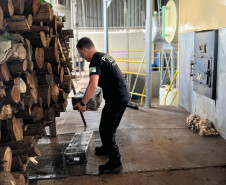 Policial civil empilhando tabletes de droga