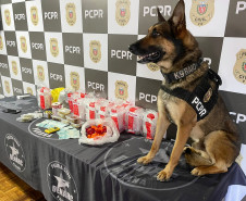 Cão policial ao lado de material apreendido