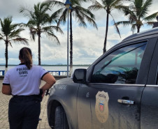 Força-tarefa da PCPR agiliza 121 ações de polícia judiciária em Guaraqueçaba, no Litoral