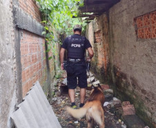 Policial civil em busca com cão policial