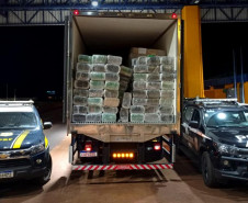 PCPR e PRF apreendem mais de 1,9 toneladas de maconha em Cascavel 