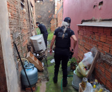 PCPR prende 18 homens em operação de proteção às mulheres em todo o Estado