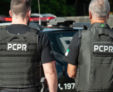 PCPR prende homem por tráfico de drogas e apreende 558 quilos de maconha em Cascavel