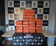 PCPR prende mulher e apreende 434 quilos de maconha em Cascavel