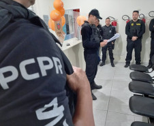 PCPR deflagra operação de combate ao abuso e exploração sexual infantil 