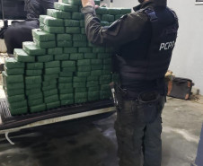 PCPR, PF e Receita Federal prendem 29 pessoas em operação contra organização criminosa ligada ao tráfico internacional de drogas 