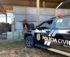 PCPR incinera mais de meia tonelada de drogas em Palmeira 
