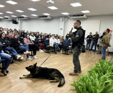 PCPR ministra palestra educativa de prevenção e combate às drogas para alunos de faculdade em Curitiba  