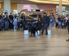 PCPR na Comunidade atende cerca de mil pessoas durante evento de conscientização sobre drogas na Capital