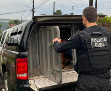 PCPR e GM prendem homem em flagrante por maus-tratos a cachorro em Ponta Grossa