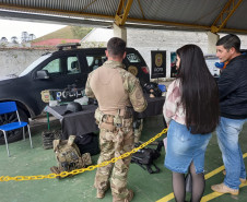PCPR na Comunidade atende mais de 300 pessoas em Rio Branco do Sul