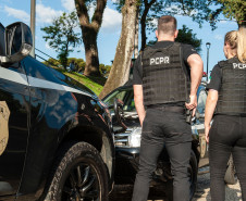 PCPR apreende drogas durante operação contra o tráfico de drogas em Umuarama 