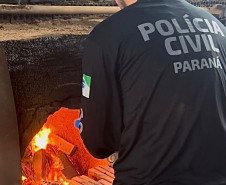 PCPR incinera mais de 10 quilos de drogas em Salto do Lontra