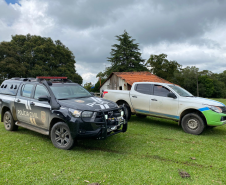 PCPR realiza operação de combate aos maus-tratos de animais em Palmeira