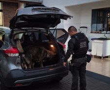 PCPR e MPPR prendem 15 pessoas em operação contra organização criminosa ligada ao tráfico de drogas em diversos estados do Brasil