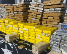 PCPR apreende mais de 300 quilos de drogas em Cascavel 