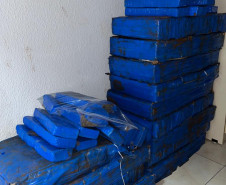 PCPR indicia homem por tráfico de drogas após transportar 207 quilos de maconha no Sudoeste do Estado 