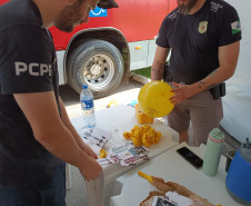 PCPR leva informações sobre segurança no trânsito para mais de 600 pessoas 