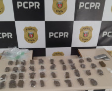 PCPR prende em flagrante homem por tráfico de drogas em Castro 