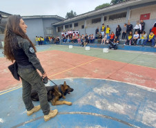PCPR na Comunidade leva serviços de polícia judiciária para mais de 300 pessoas em Colombo