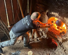 PCPR incinera 50 quilos de drogas em Mallet