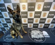 PCPR e PMPR prendem 20 pessoas em operação contra organização criminosa ligada ao tráfico de drogas no Centro de Curitiba  