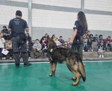 PCPR na Comunidade leva serviços de polícia judiciária para mais de 1,6 mil pessoas em Castro