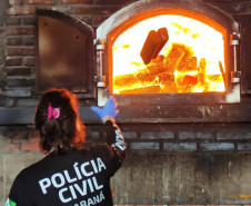 PCPR incinera 3,1 toneladas de droga em Cascavel 