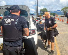 Com abordagens, forças policiais promovem primeira ação do Verão Maior Paraná