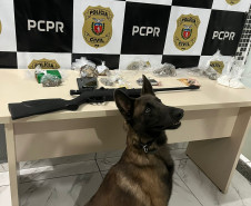 PCPR prende dois homens em flagrante por tráfico de drogas em Antonina 