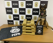 PCPR apreendeu 17,2 quilos de maconha em Vitorino