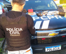 PCPR cumpre 46 mandados de busca em operação contra o tráfico de drogas 