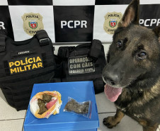 PCPR deflagra operação contra roubos em Realeza