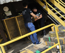 PCPR e PMPR incineram duas toneladas de drogas em Irati