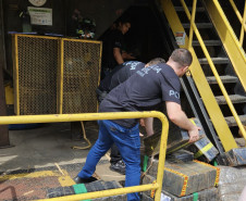 PCPR e PMPR incineram duas toneladas de drogas em Irati