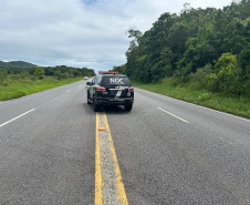 PCPR resgata cachorro em rodovia de Matinhos