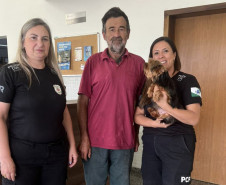 PCPR resgata cachorro em rodovia de Matinhos