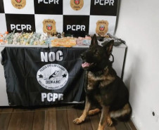 PCPR prende dois homens em flagrante por tráfico de drogas em São Mateus do Sul