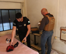 Forças de segurança prendem 36 integrantes de organização criminosa em megaoperação em Quedas do Iguaçu
