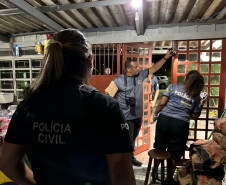 Forças policiais já realizaram 352 diligências especializadas durante o Verão Maior Paraná