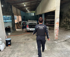 PCPR e PRF  prendem 12 pessoas em operação contra organização criminosa especializada em saques de cargas 