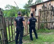 PCPR e PRF  prendem 12 pessoas em operação contra organização criminosa especializada em saques de cargas 