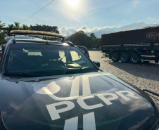 PCPR e PRF  prendem 12 pessoas em operação contra organização criminosa especializada em saques de cargas 