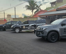 PCPR e PMPR prende homem por tráfico de drogas e posse de munição de uso restrito em Carlópolis 